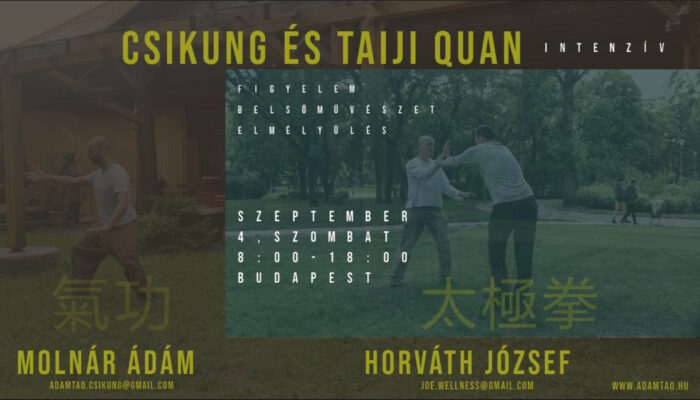 csikung és taiji budapest
