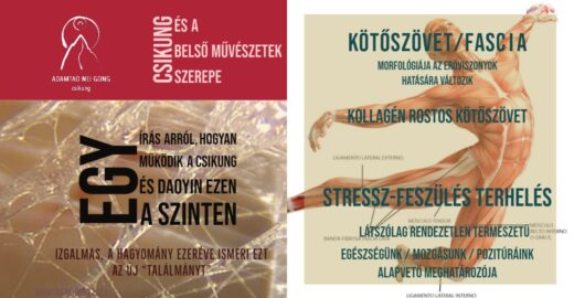 csikung fascia kötőszövet