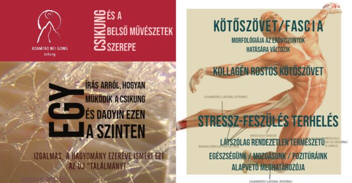 csikung fascia kötőszövet