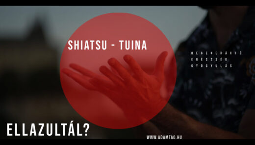 shiatsu tuina csikung