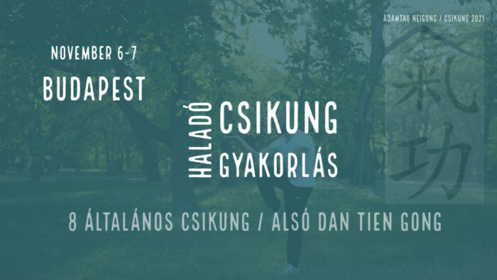 haladó csikung