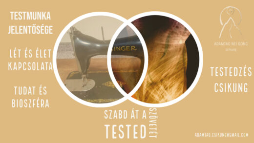 csikung test szövet