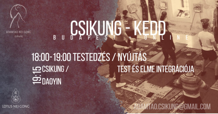 csikung kedd budapest