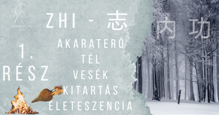 akaraterő nei gong vesék qi