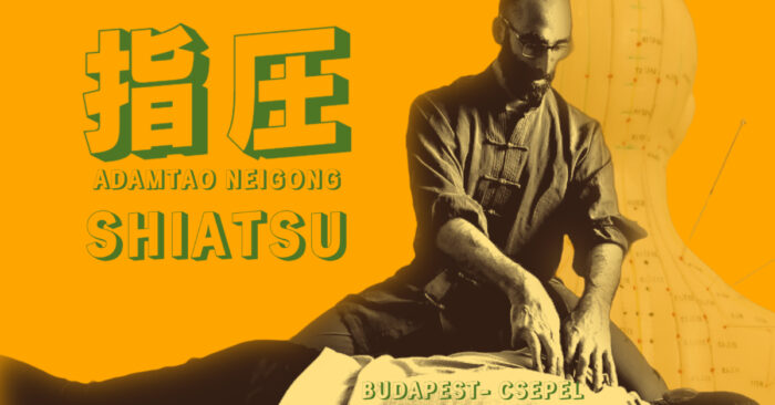 shiatsu tuina neigong budapest