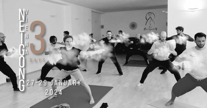 2024 dao neigong vienna