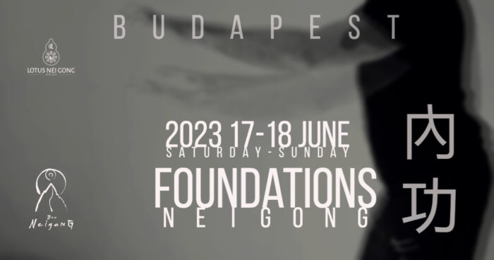 Dao neigong 2023 június