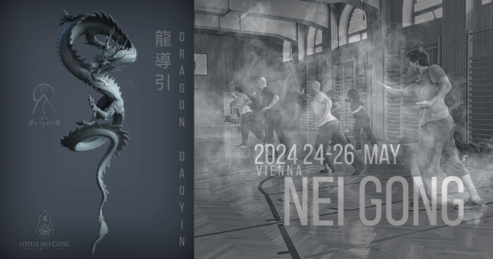 2024 dragon dao yin vienna neigong