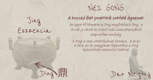 nei gong esszencia jing csikung