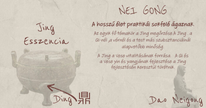 nei gong esszencia jing csikung