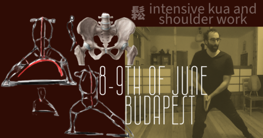 2024 dao neigong kua shulder work budapest