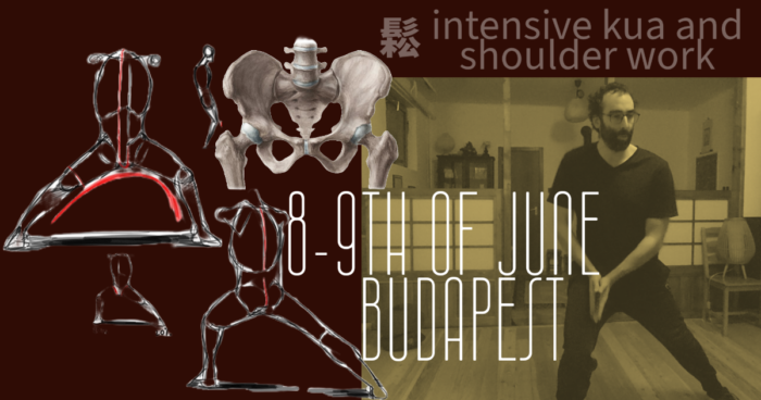 2024 dao neigong kua shulder work budapest