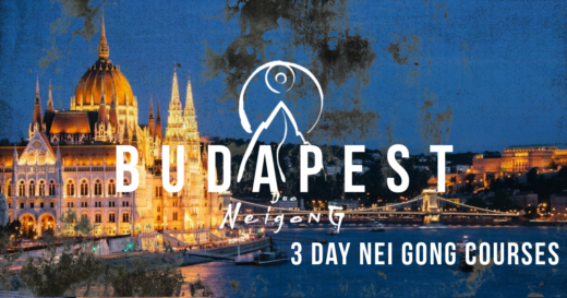 Nei gong budapest 2025