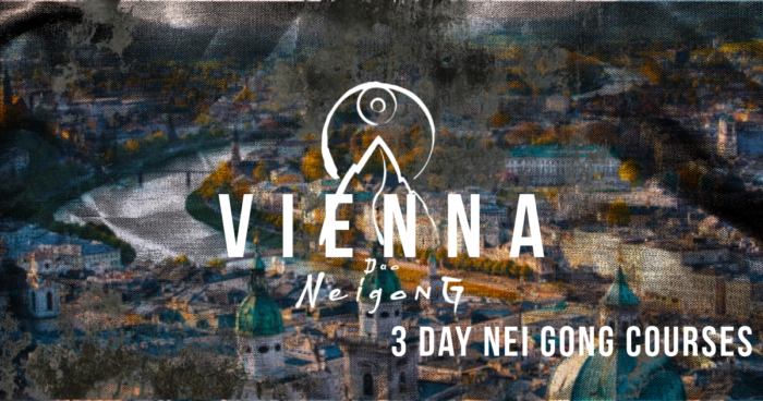 nei gong vienna may