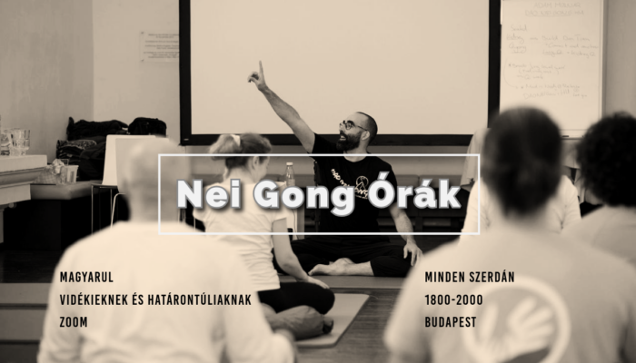 2025 nei gong budapest