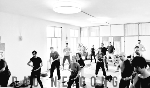 2025 dao neigong budapest vienna practise