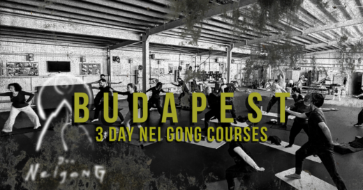 2025 nei gong budapest
