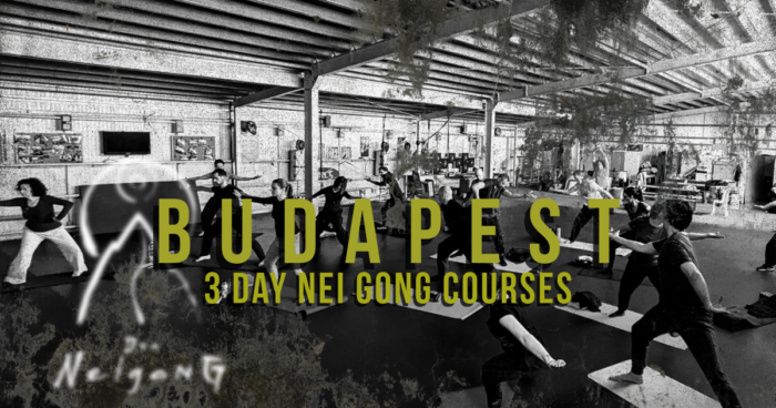 2025 nei gong budapest