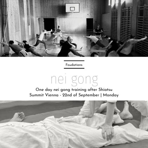 Nei gong foundations Vienna shiatsu