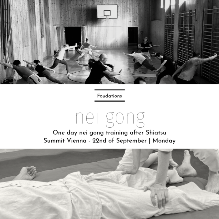 Nei gong foundations Vienna shiatsu
