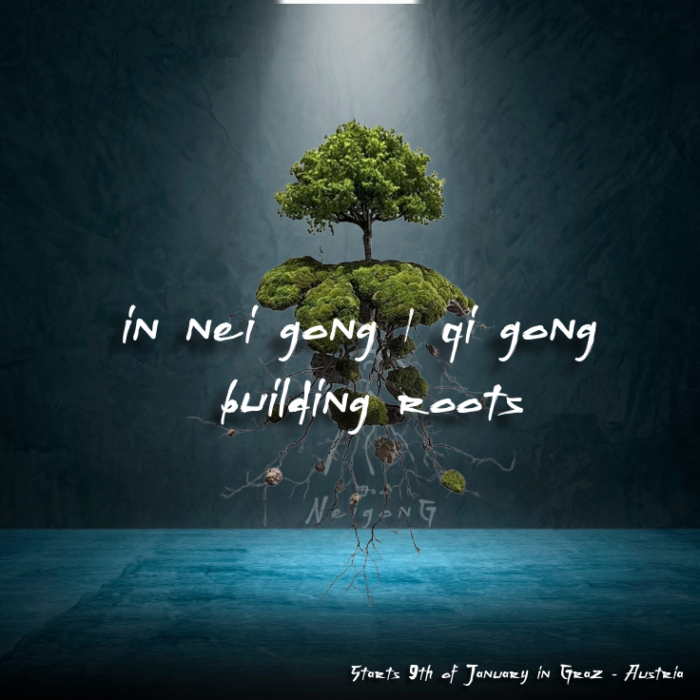 2026 Roots and foundation in nei gong - Graz