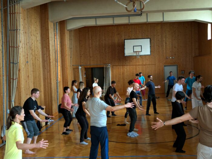 2026 qi gong for therapists
