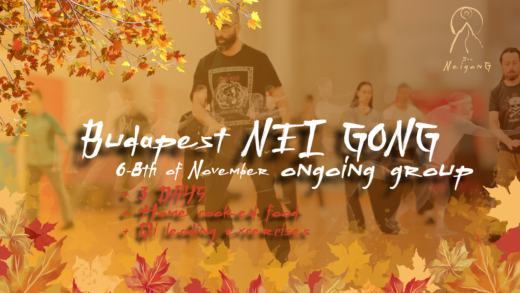 2026 november Budapest Nei gong Qi gong event